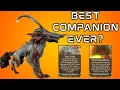 Panzer Vulpaphyla - The Companion You NEED Warframe
