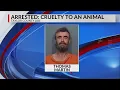 Report Suspect throws dog on ground at Abilene intersection several times breaks its leg