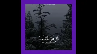 الا بذكر الله تطمئن القلوب آيات قرآنية قصيرة تشرح الصدر 