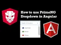 PrimeNG Dropdown Tutorial Quick Easy Guide for Beginners