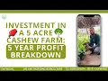 Download Lagu Winstverdeling voor de eerste 5 jaar van een cashewnotenboerderij op 5 acres