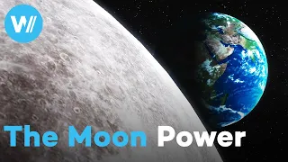 How Does The Moon Affect The Earth Spectacular Lunar Phenomena Between Tides And Animal Migrations 