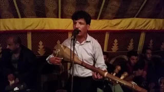                  راحت الإنسانية دندنها