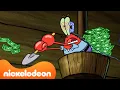 Download Lagu Spongebob | Tuan Krab Dihipnotis + Lebih Banyak Episode BARU! | Nickelodeon Bahasa