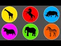 Download Lagu Herbivores: Elephant, Horse, Giraffe, Hippopotamus, Rhinoceros, and Zebra. #ME100