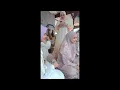 Lagu Lagi Duduk Kelihatan Putri Isnari Turun Panggung Di Jaga Ketat Sama Mertuanya