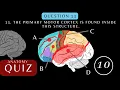 Neuroanatomy Quiz Anatomy and Physiology of the Cerebrum Brainquiz