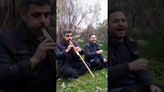 يرغول باسل عبود مع الفنان الكبير طلال شبول دندنها