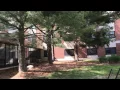Mimosa Hall - Rowan University Housing Tour