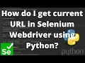 How do I get current URL in Selenium Webdriver using Python