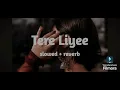 Tere Liye [Slowed+Reverb] - Atif Aslam,Shreya Ghoshal | Vivek Oberoi