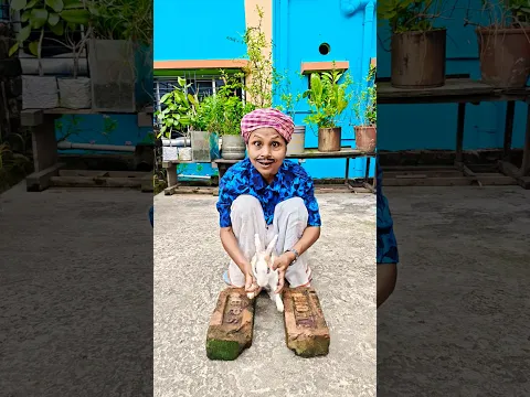 দাদা ভাতিজাকে পায়খানায় বসিয়ে পায়খানা করালো 🐇🐇 @Anu twist #bhai #rabbit #funny #shorts #ytshorts
