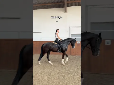 I love having a vision! He’s going to be a gem 💎🥰 #equestrian #dressage