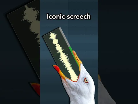 this sound was actually..