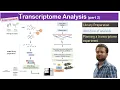 Transcriptome analysis Learn library preparation and data analysis from scratch