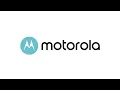 Toque Bird Loop Motorola