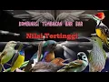 Download Lagu INI BARU MASTERAN JOSS‼️Tembakan Burcil Dengan Nilai Tertinggi