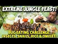 Exotic Naga food Giant bug Mukbang eating giant water bug diving Beatle and many more