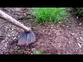 How to Kill Tons of Tiny Weeds with a Garden Hoe