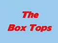 The Box Tops: Neon Rainbow @ the Hoboken Spring Arts & Music Festival