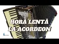 Download Lagu Horă Lentă la Acordeon: Muzica de petrecere