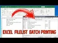 How to import a file list from excel into Batch Print Pro and Print