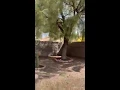 1570 South Sloan Lane Las Vegas Virtual Open House