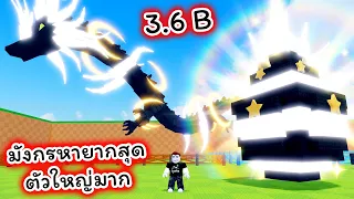 ไข่มังกรของแท้ที่หายากที่สุดใบใหญ่สุด ขโมยมาได้แล้ว Steal An Egg Roblox