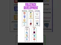 Full stack Developer