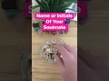 Download Lagu Name or Initials of Your Soulmate Timeless 😍❤️😘😀🥰🌹