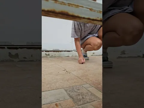 Это кто ?