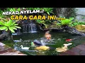 Download Lagu DJALU DZAKY BERSIHIN KOLAM SABRINA..!! AUTO DI S3RANG BEBEK !!