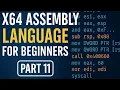 Mathematical instructions add sub mul div x64 Assembly Beginner Lecture 11