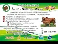 Comercial Api Aba Loma Bonita
