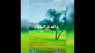 المدح الموريتاني النعمة منت الشويخ والعيدات Moctarrim 