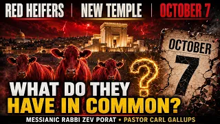 Red Heifers A New Temple What Do They Have In Common Prepare for A Shock Zev Porat And Carl Gallups