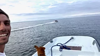 RACING 50-YEAR OLD BOSTON WHALERS