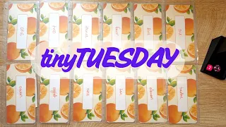 Tiny Tuesday