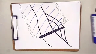Você sabe o que é um EIA/RIMA?