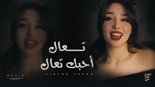 ترند تيك توك   تعال أحبك تعال   أشرب واحد شاي واكل بسبوساي   مطلوبة أكثر شي      دندنها