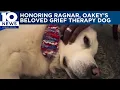 Community honors Ragnar Oakey s beloved grief therapy dog