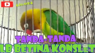 Download PERHATIKAN TANDA-TANDANYA !!! lb betina konslet MP3