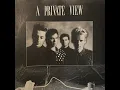 A Private View - Our Town