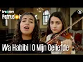 Lagu Josleen \u0026 Jamilee - Wa Habibi | Petrus in het land | KRO-NCRV