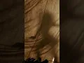 Double Blind