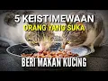 Download Lagu Keajaiban Sering Memberi Makan Kucing !! 5 Keberuntungan Orang Yang Suka Memberi Makan Kucing