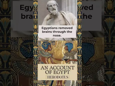How They Actually Removed the Brain in Ancient Egypt #ancienthistory #mummies
