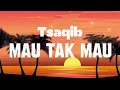 Download Lagu Tsaqib -  Mau Tak Mau || Official Lirik Video