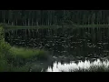 Aphex Twin - Stone in Focus (ℜUSTHOL Remix)
