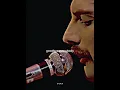 Download Lagu bohemian rhapsody lyrics | short lyrics | WhatsApp status